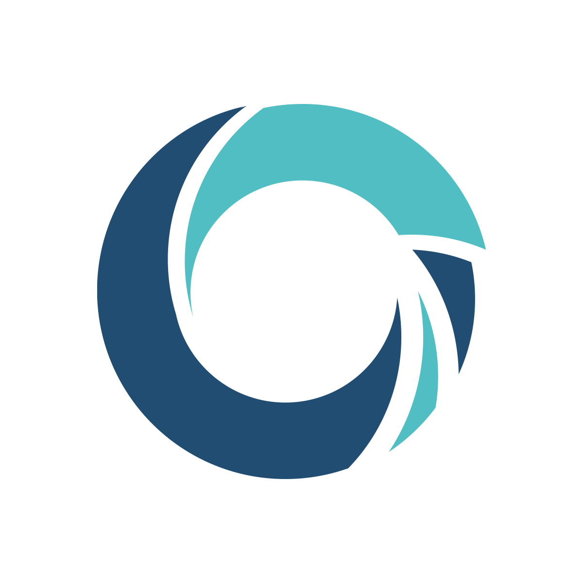cyber logo